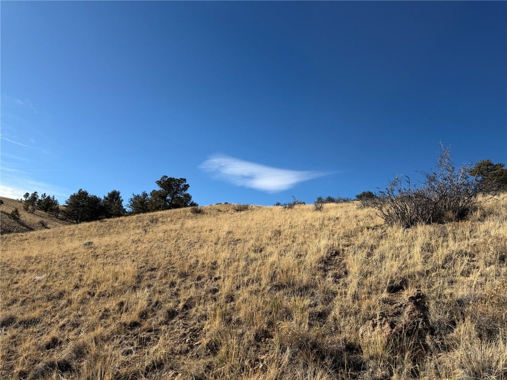 Photo of Oak Street, Hartsel, CO 80449 (MLS # S1065725)