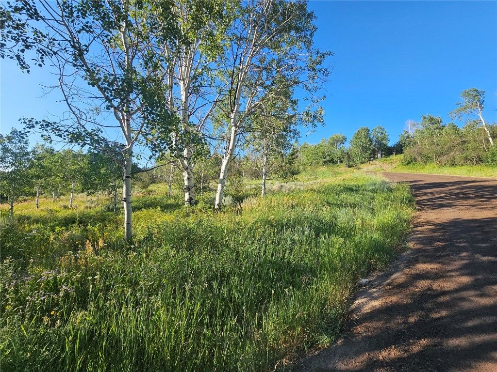 Photo of 31145 Broken Talon Trail, Oak Creek, CO 80467 (MLS # S1065792)