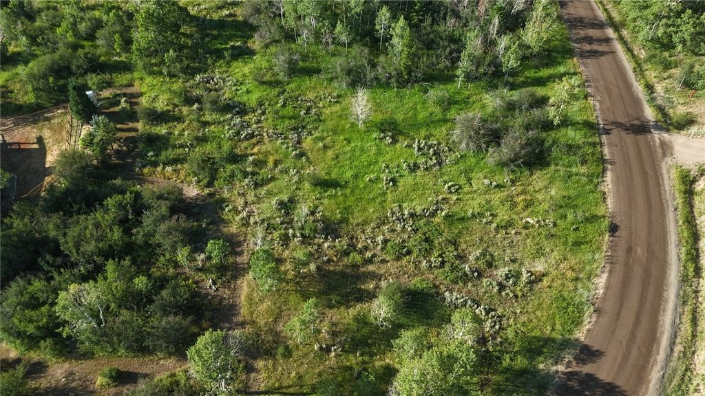 Photo of 31145 Broken Talon Trail, Oak Creek, CO 80467 (MLS # S1065792)