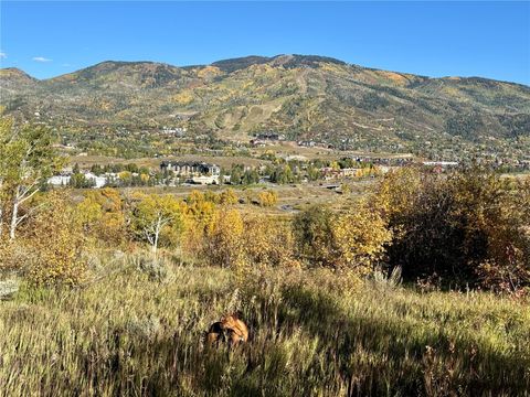 Photo of 37225 William William Road, Steamboat Springs, CO 80487 (MLS # S1062716)