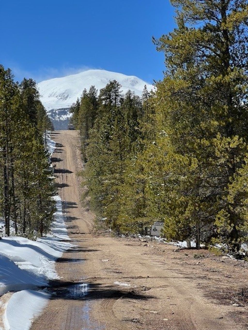 Photo of 123 Lodgepole Drive, Leadville, CO 80461 (MLS # S1066266)