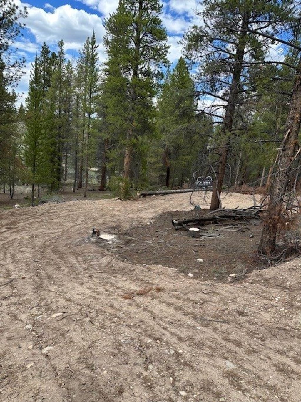 Photo of 123 Lodgepole Drive, Leadville, CO 80461 (MLS # S1066266)