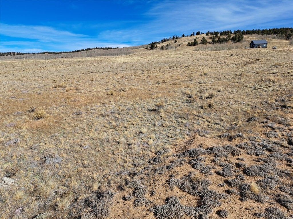 Photo of 513 Night Hawk Circle, Como, CO 80432 (MLS # S1064439)