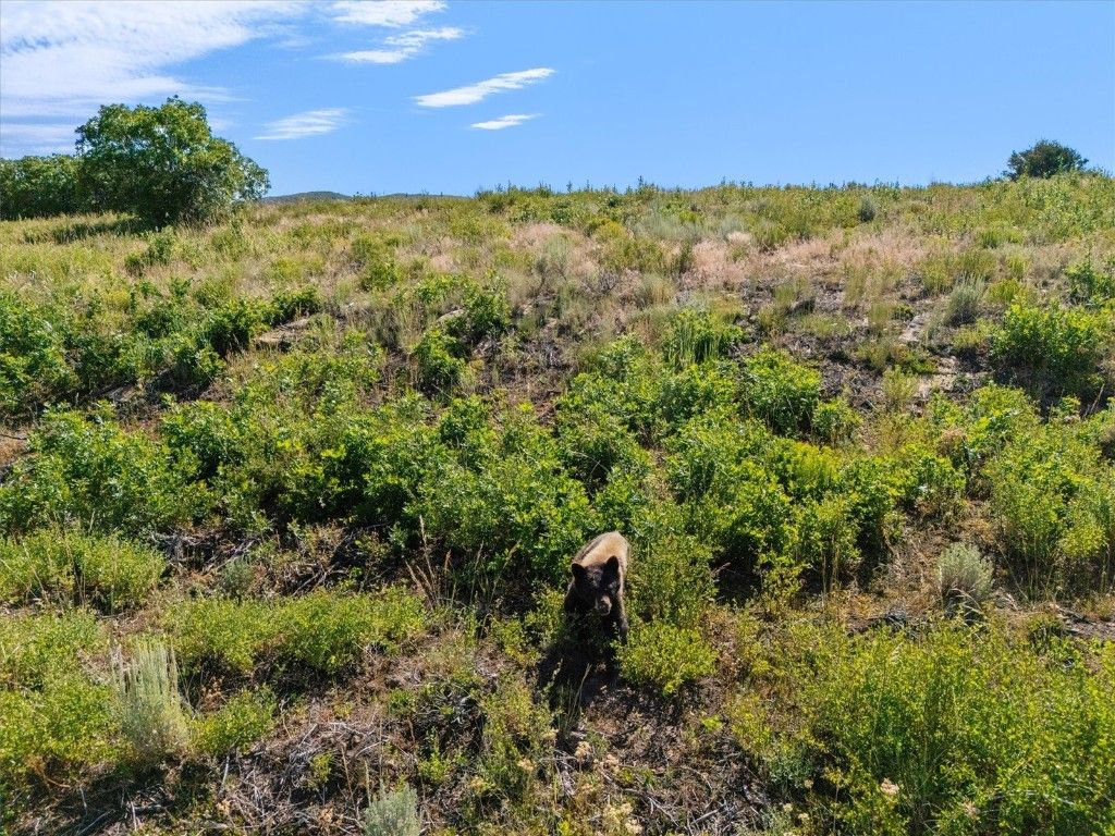 Photo of 32095 Judges Viewpoint, Oak Creek, CO 80467 (MLS # S1065918)