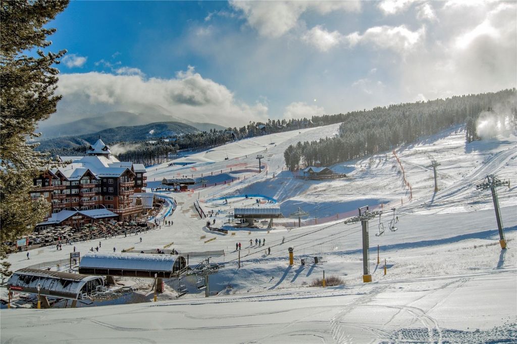 Photo of 107 Ski Watch Road #432, Breckenridge, CO 80424 (MLS # S1064137)