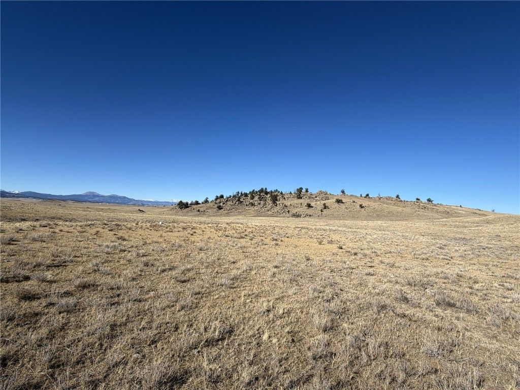 Photo of 2665 Caddo Road, Hartsel, CO 80449 (MLS # S1064399)