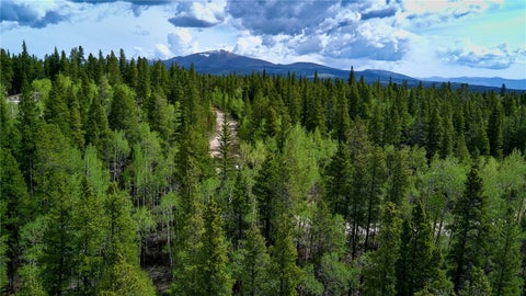 Photo of 151 Donna Drive, Fairplay, CO 80440 (MLS # S1069085)