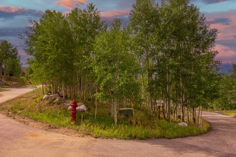 Photo of 12 Harvest Moon Road, Silverthorne, CO 80498 (MLS # S1071567)
