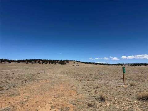 Photo of 205 Cheyenne Trail, Hartsel, CO 80449 (MLS # S1068570)