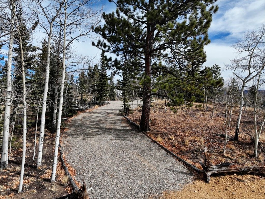 Photo of 60 Mesa Court, Como, CO 80432 (MLS # S1064117)