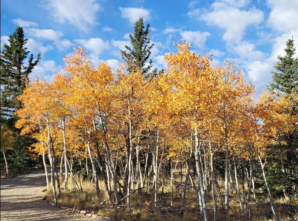 Photo of 60 Mesa Court, Como, CO 80432 (MLS # S1064117)