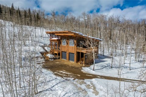 Photo of 26785 Willow Gulch Drive, Clark, CO 80428 (MLS # S1068397)