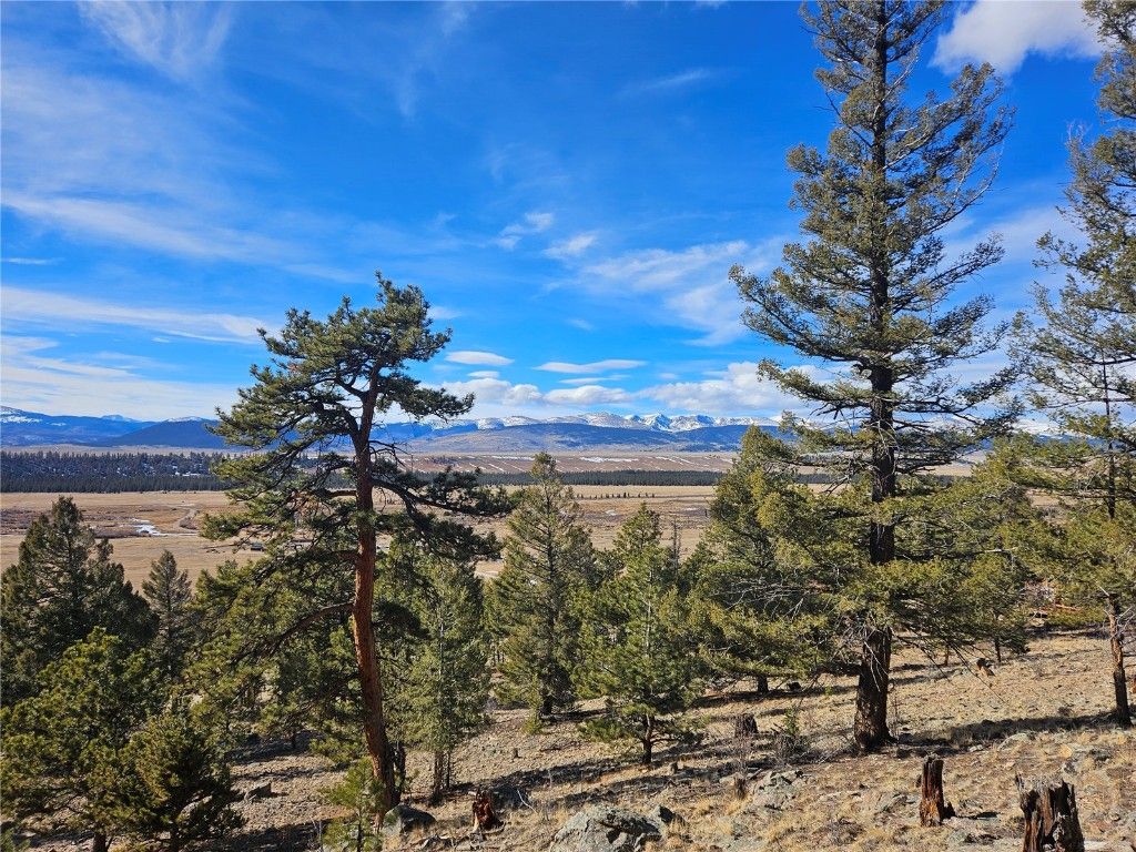 Photo of 395 Bonell Drive, Fairplay, CO 80440 (MLS # S1065759)
