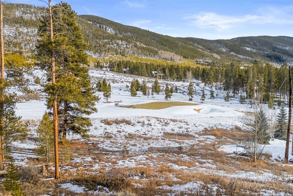 Photo of 442 Idlewild Drive, Dillon, CO 80435 (MLS # S1065785)