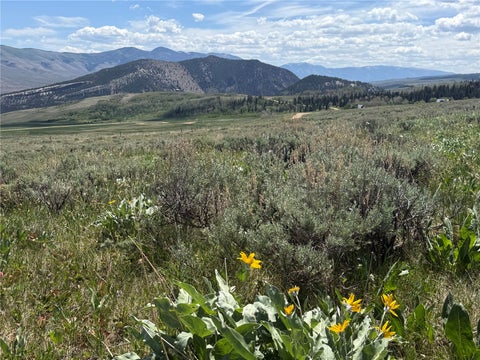Photo of Spring Creek Ranch Road, Silverthorne, CO 80498 (MLS # S1069413)