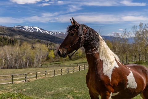 Photo of 31775 Bradley Ranch, Steamboat Springs, CO 80487 (MLS # S1068804)