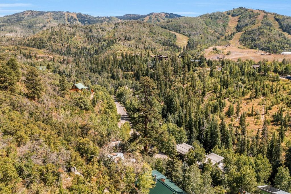 Photo of 2630 Burgess Creek Road, Steamboat Springs, CO 80487 (MLS # S1062483)