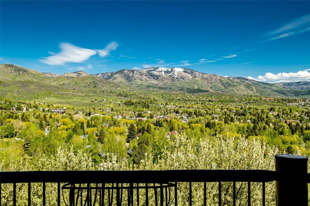 Photo of 1220 Buckskin Court, Steamboat Springs, CO 80487 (MLS # S1062498)