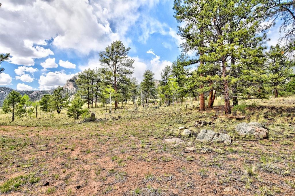 Photo of 490 Teller Street, Lake George, CO 80827 (MLS # S1065679)