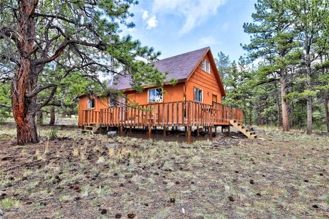 Photo of 490 Teller Street, Lake George, CO 80827 (MLS # S1065679)