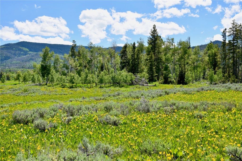 Photo of 194 Halter Trail, Oak Creek, CO 80467 (MLS # S1061290)