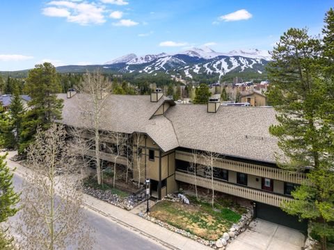 Photo of 311 S High Street #108, Breckenridge, CO 80424 (MLS # S1062500)