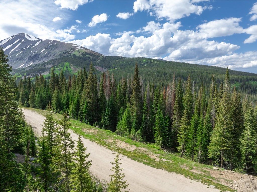 Photo of 275 CR 805, Breckenridge, CO 80424 (MLS # S1064048)
