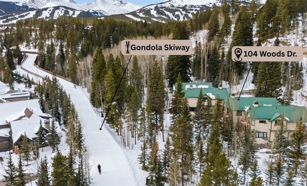 Photo of 104 Woods Drive #0, Breckenridge, CO 80424 (MLS # S1065804)