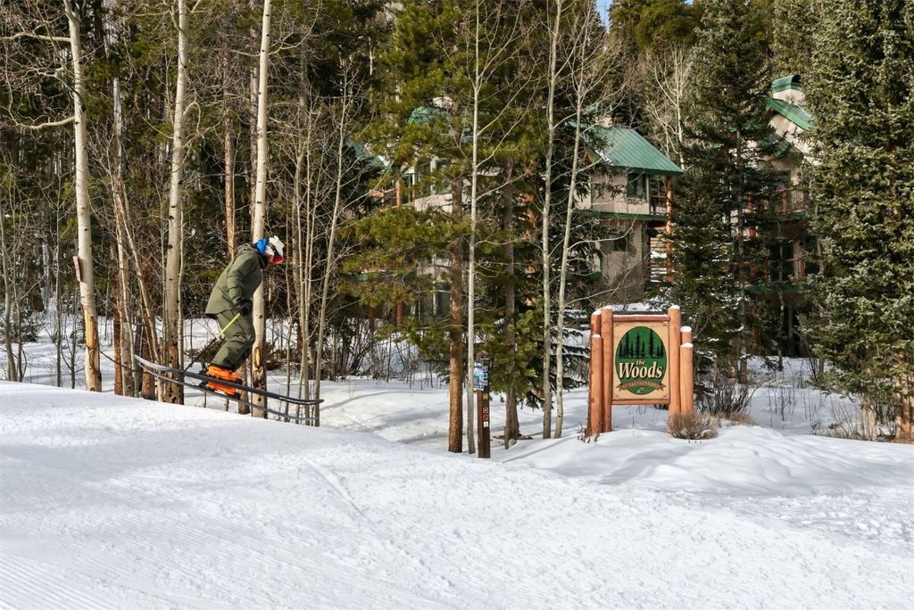 Photo of 104 Woods Drive #0, Breckenridge, CO 80424 (MLS # S1065804)