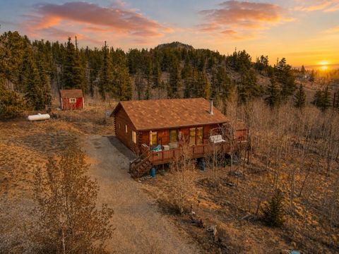 Photo of 360 Musket Lane, Como, CO 80432 (MLS # S1068852)