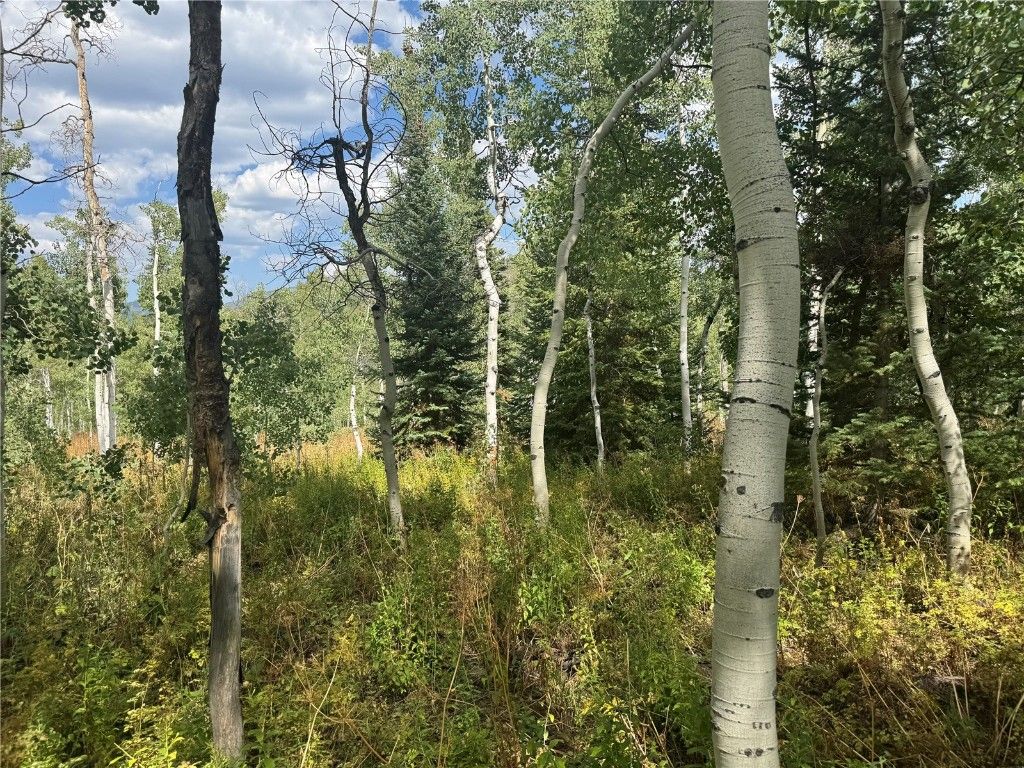 Photo of 26770 Willow Gulch Drive, Clark, CO 80428 (MLS # S1062436)