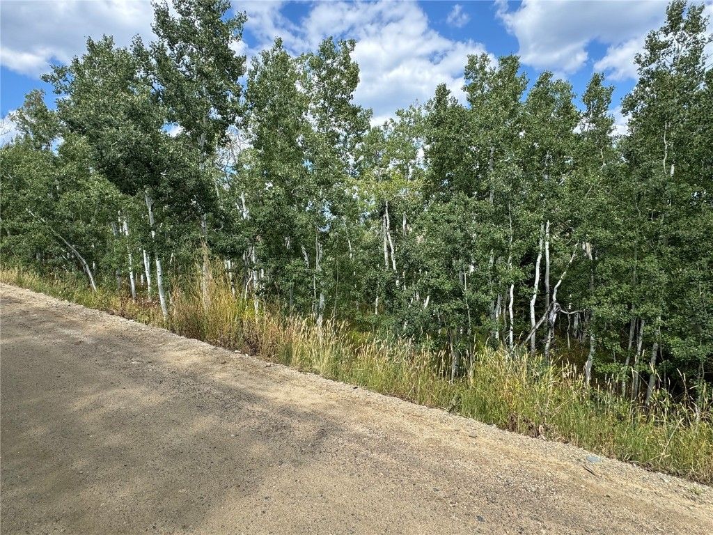 Photo of 26770 Willow Gulch Drive, Clark, CO 80428 (MLS # S1062436)