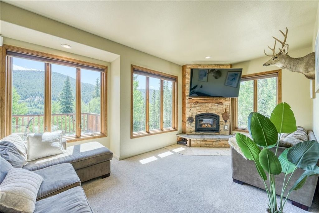 Photo of 234 Peterson Drive, Alma, CO 80420 (MLS # S1065883)