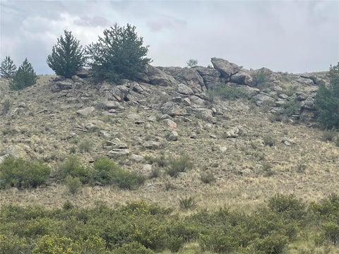 Photo of 924 Mustang Road, Jefferson, CO 80456 (MLS # S1070259)