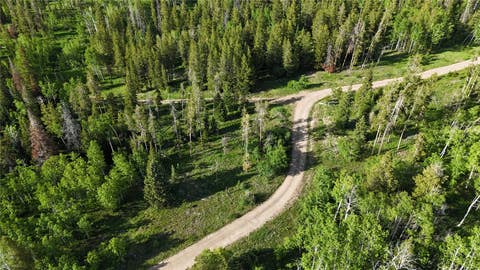 Photo of 32965 Maverick Way, Oak Creek, CO 80467 (MLS # S1070830)