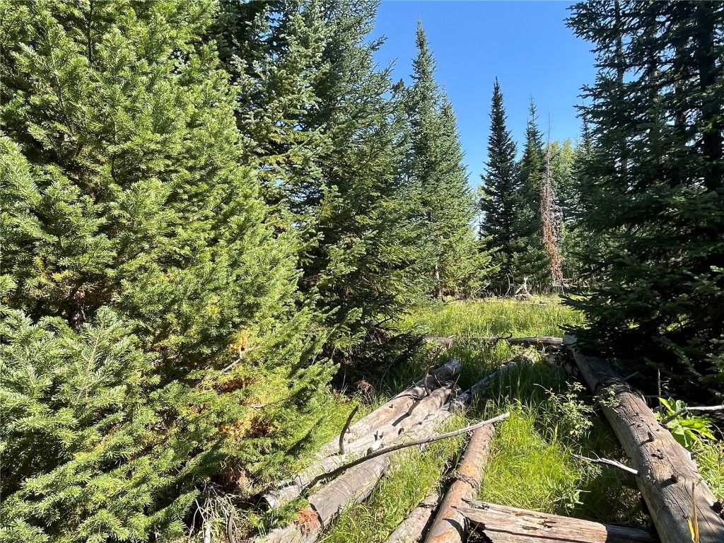Photo of Cutter Trail, Oak Creek, CO 80467 (MLS # S1059550)