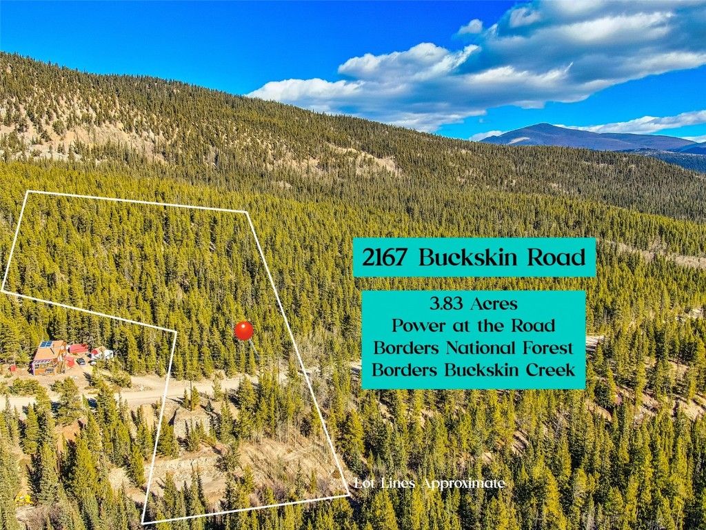 Photo of 2167 BUCKSKIN Road, Alma, CO 80440 (MLS # S1064301)