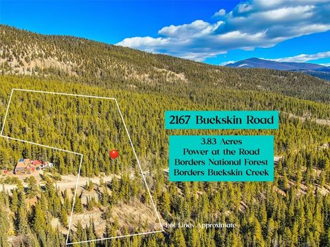 Photo of 2167 BUCKSKIN Road, Alma, CO 80440 (MLS # S1064301)