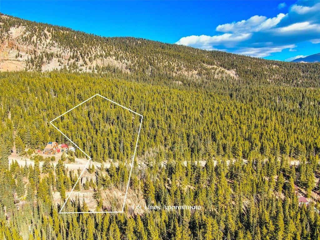Photo of 2167 BUCKSKIN Road, Alma, CO 80440 (MLS # S1064301)