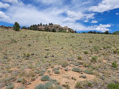 Photo of 149 Mustang Road, Jefferson, CO 80456 (MLS # S1069739)