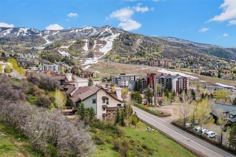Photo of 1760 Burgess Creek Road #-, Steamboat Springs, CO 80487 (MLS # S1064338)