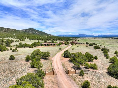 Photo of 1328 Round Up Road Rd, Westcliffe, CO 81252 (MLS # S1068626)