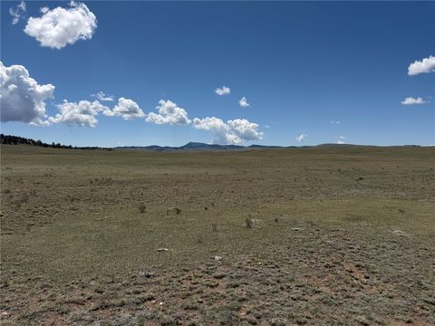 Photo of 1338 Chimapavi Trail, Hartsel, CO 80449 (MLS # S1069221)