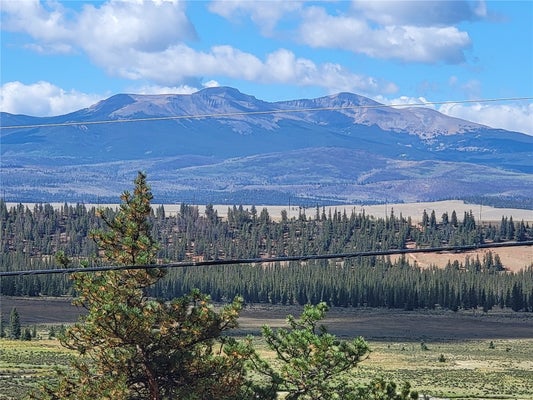 1368 BONELL DR, FAIRPLAY, CO 80440 - Image 4d171adad8a9fd695ef2a7e2b1ce4903/2548266436