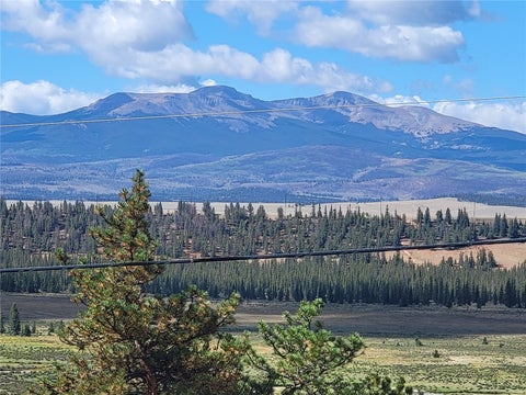 Photo of 1368 Bonell Drive, Fairplay, CO 80440 (MLS # S1071490)