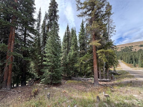 Photo of 244 Camron Lane, Breckenridge, CO 80424 (MLS # S1071546)