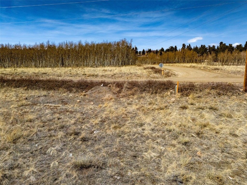 Photo of 1555 Sheep Ridge Road, Fairplay, CO 80440 (MLS # S1064146)