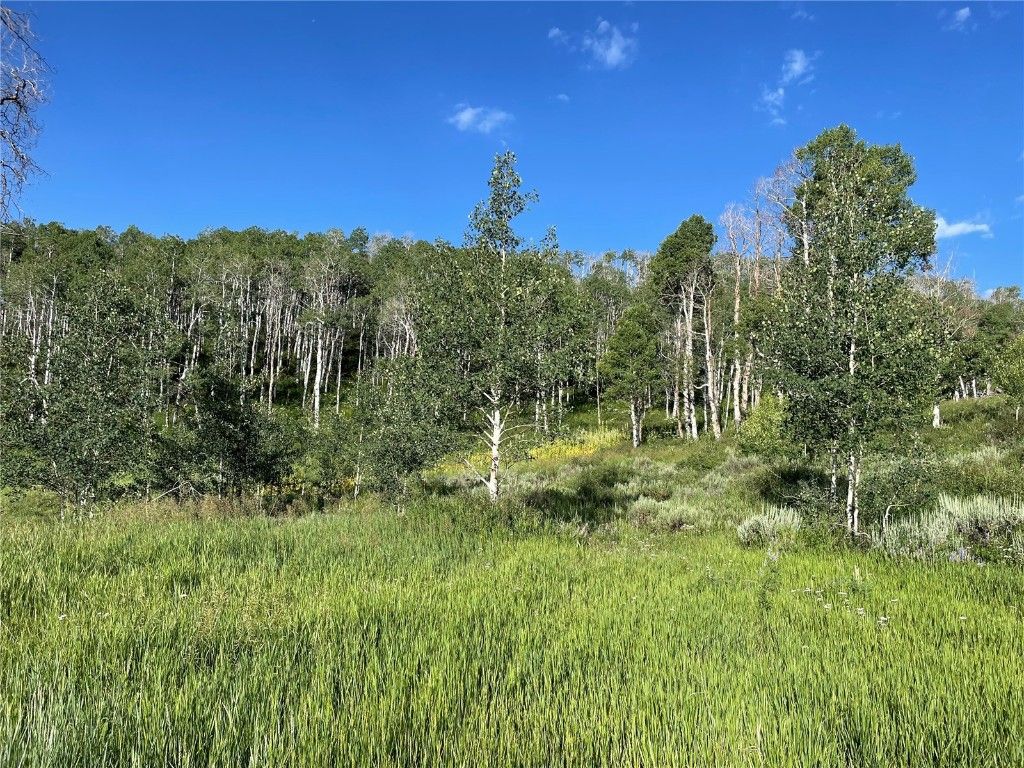 Photo of 27200 Frisco Place, Clark, CO 80428 (MLS # S1061302)