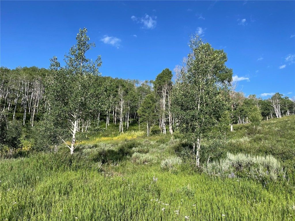 Photo of 27200 Frisco Place, Clark, CO 80428 (MLS # S1061302)