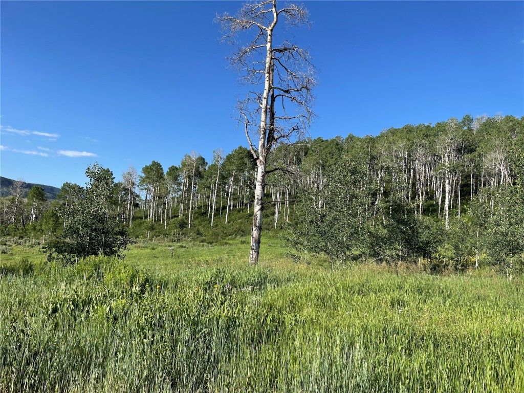 Photo of 27200 Frisco Place, Clark, CO 80428 (MLS # S1061302)